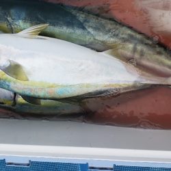 海龍丸（石川） 釣果