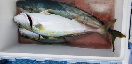 海龍丸（石川） 釣果