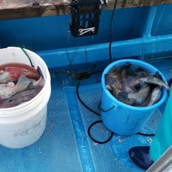 海龍丸（石川） 釣果