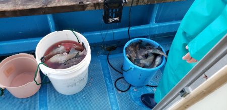 海龍丸（石川） 釣果