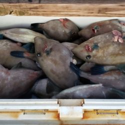 海龍丸（石川） 釣果