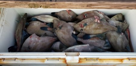 海龍丸（石川） 釣果