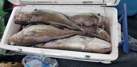 海龍丸（石川） 釣果