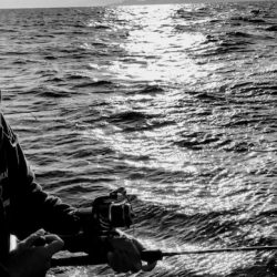 アマテラス 釣果