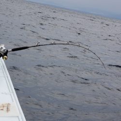 海龍丸（石川） 釣果