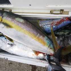 第二龍勢丸 釣果