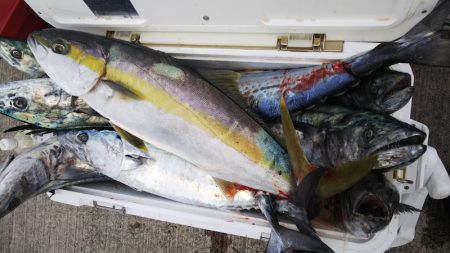 第二龍勢丸 釣果