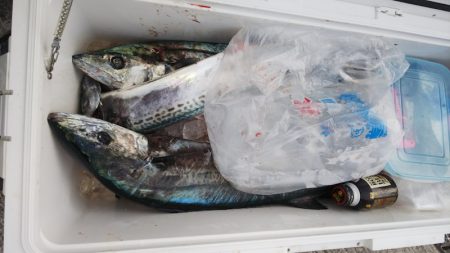 第二龍勢丸 釣果