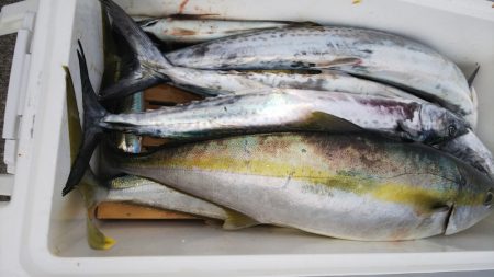 第二龍勢丸 釣果