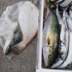 第二龍勢丸 釣果