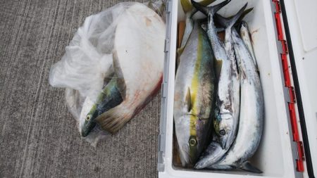 第二龍勢丸 釣果