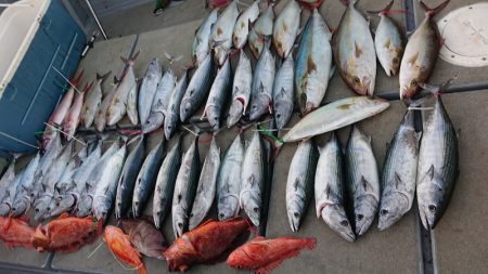 海皇丸 釣果