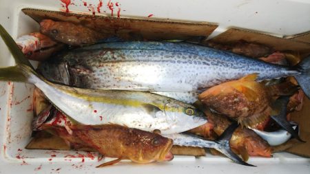 第二龍勢丸 釣果