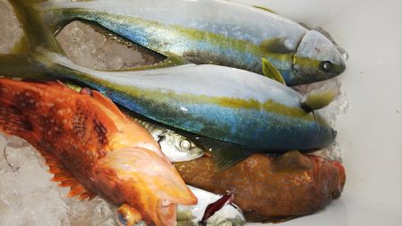 第二龍勢丸 釣果