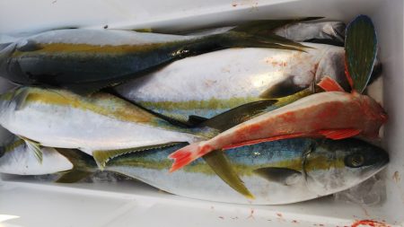 第二龍勢丸 釣果