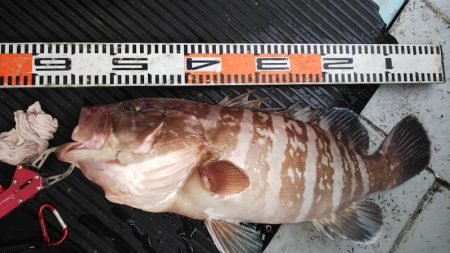 第二龍勢丸 釣果