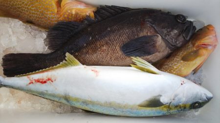 第二龍勢丸 釣果