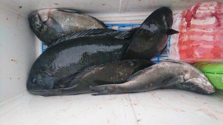 しば渡船 釣果