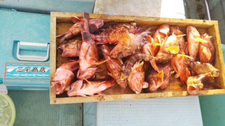 岡田釣船　八英丸 釣果