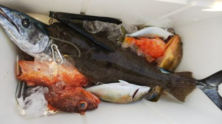 第二龍勢丸 釣果