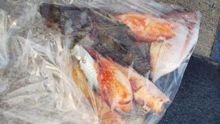 第二龍勢丸 釣果