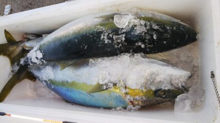 第二龍勢丸 釣果