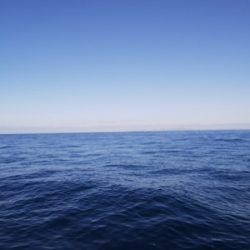 第二龍勢丸 釣果