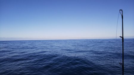 第二龍勢丸 釣果