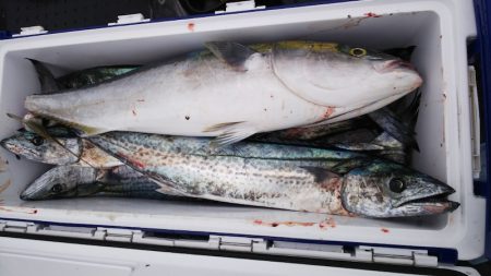 第二龍勢丸 釣果