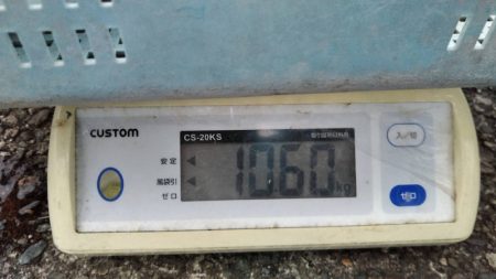 LUSTER『ラスター』 釣果