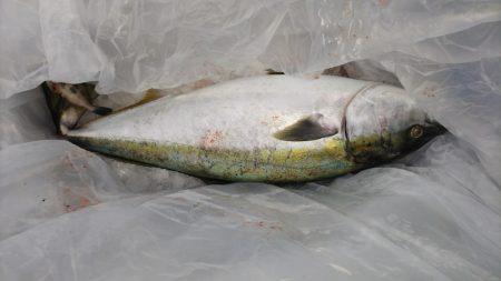 第二龍勢丸 釣果