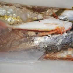 第二龍勢丸 釣果