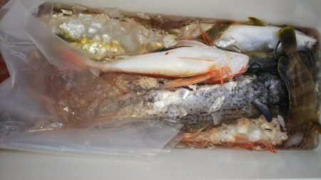 第二龍勢丸 釣果