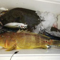 第二龍勢丸 釣果