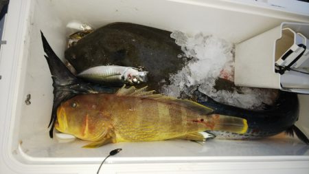 第二龍勢丸 釣果