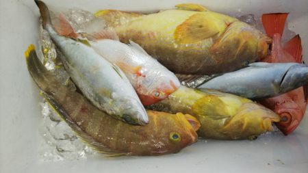 第二龍勢丸 釣果