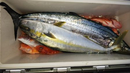 第二龍勢丸 釣果