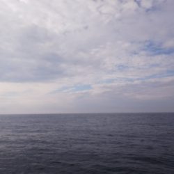 第二龍勢丸 釣果