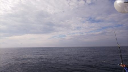 第二龍勢丸 釣果