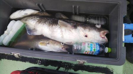 海龍丸（石川） 釣果