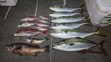 ARCADIAⅡ （アルカディアⅡ） 釣果