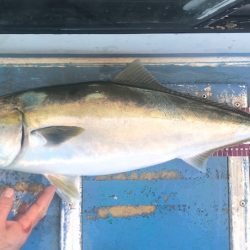 ヤザワ渡船 釣果