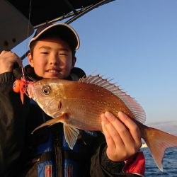 遊漁船　家入 釣果