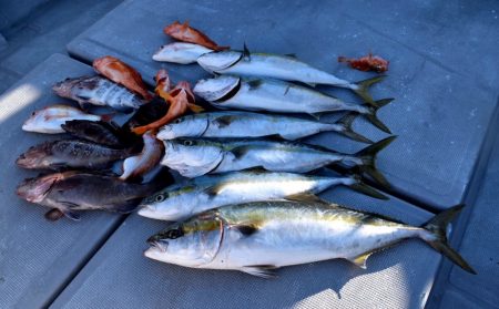渡船屋たにぐち 釣果