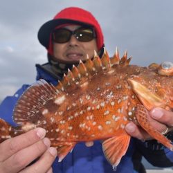 渡船屋たにぐち 釣果