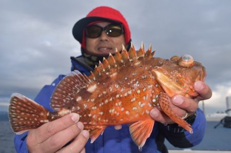 渡船屋たにぐち 釣果