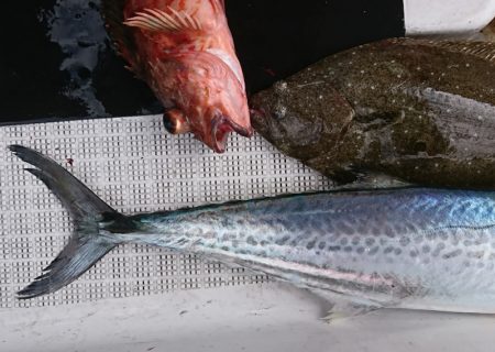 遊漁船　家入 釣果