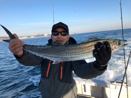 ランスルー 釣果