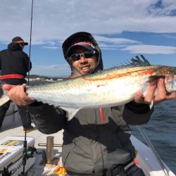 ランスルー 釣果