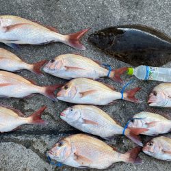 末広丸(熊本) 釣果